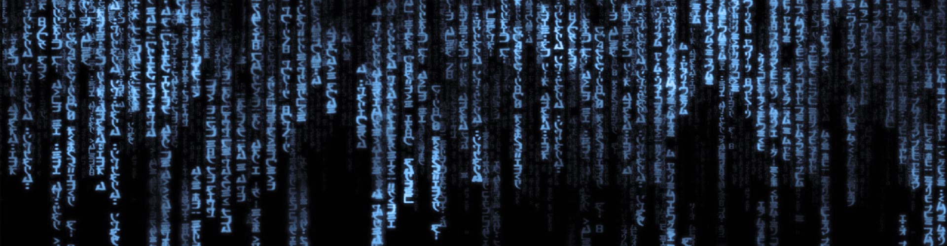 404